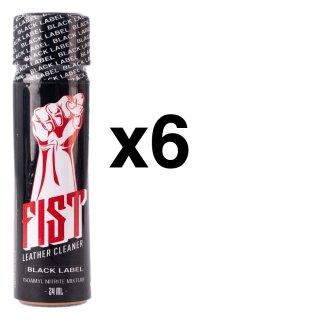 FIST AMYL 24 ml 6-72 Stück