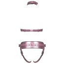 You2Toys Bad Kitty StrapOn Set 2XL Pink