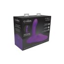 The Cowgirl Rodeo Rider