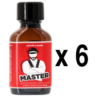 MASTER 24 ml 6-144 Stück