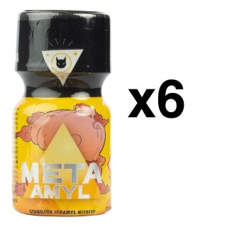 META AMYL 10 ml 6-72 Stück