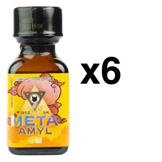 META AMYL 24 ml 6-144 Stück