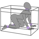 Secret Dome Kink Club La Niche Cabin Lila