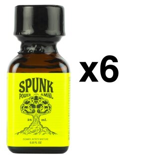 SPUNK POWER AMYL 24 ml 6-144 Stück