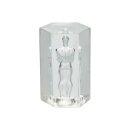 CalExotics Guys Guys Guys Romeo 9,5 cm Clear