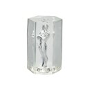 CalExotics Guys Guys Guys David 9,5 cm Clear