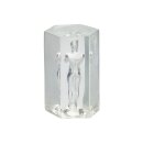 CalExotics Guys Guys Guys David 9,5 cm Clear