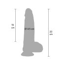 Hidden Desire Ultra Realistic Dildo Silicone 23 cm Skin