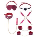 You2Toys Bad Kitty Bondage Set 6-Piece Pink