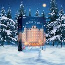 Satisfyer Deluxe Adventskalender 2025