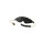 Guilty Pleasure Allure Pearl Pleasure Set 7 Piece