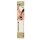 Guilty Pleasure Radiant Reign Crop with Gold-Toned Accents