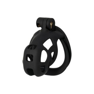 Hidden Desire Cock Cage