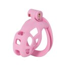 Hidden Desire Cock Cage