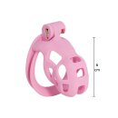 Hidden Desire Cock Cage