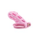 Hidden Desire  Peniskäfig