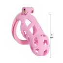 Hidden Desire  Peniskäfig