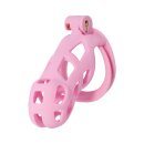 Hidden Desire Cock Cage