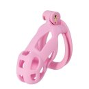 Hidden Desire Penis Prison Regular Pink