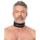 Rimba Lederhalsfessel mit Doppel-D-Ring Schwarz