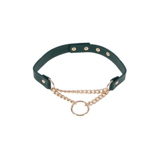 Sportsheets Indica Day Collar