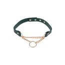 Sportsheets Indica Day Collar