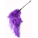 Hidden Desire Double Feather Tickler Purple