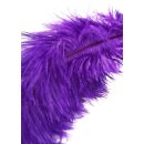 Hidden Desire Double Feather Tickler Purple