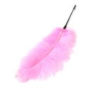 Hidden Desire Double Feather Tickler Pink