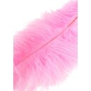 Hidden Desire Double Feather Tickler Pink