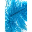 Hidden Desire Double Feather Tickler Blue