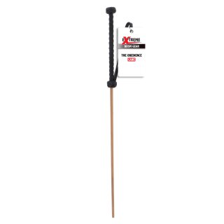 Hidden Desire The Obedience Cane Black