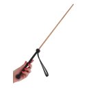 Hidden Desire The Obedience Cane Black