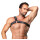 ZADO One-Sided Leather Chest Harness Black XL/2XL