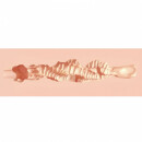 Xkin Raw The Grip Small Masturbator Beige