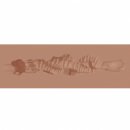 Xkin Raw The Grip Small Masturbator Brown