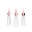 Clitoral & Nipple Pump Set Medium  Rose Gold
