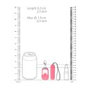 Vibrating Bullet with Remote Control