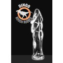 Dinoo Liaoxiornis - Clear