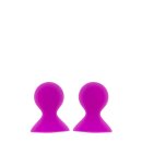 Pleasure Pumps Nipple Suckers Pink