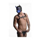 Neoprene Puppy Hood - Black and Blue