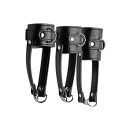 IS Ball Stretcher Kit with Leash